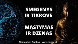 Smegenys ir tikrovė. Mąstymas ir dzenas