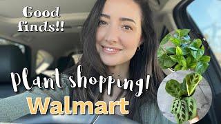 Let's go Plant shopping at WALMART | A lot of good finds! | March 2022