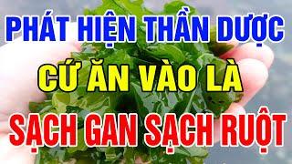 Phát Hiện Thần Dược Cứ Ăn Vào Là SẠCH RUỘT, Càng Ăn Đường Ruột Càng Khỏe, Cả Đời Không Lo Bệnh Tật