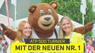 Einblicke in ein ATP 500 Turnier | Terra Wortmann Open | Tennis-Point