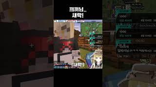 끠끼님 초면에 죄송합니다 #새라새라 #끠끼 #새락