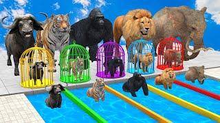 5 Giant Duck & Wild Animals Cage Game Cow Gorilla Rhinoceros Elephant Sheep Crossing Fountain