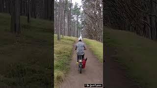 Riding Troxus Lynx  e-bike through the forest #cycling #ebike #drone #hoverairx1 #hmb