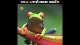 यह Facts आपकी जान बचा सकते हैं  | Facts That Can Save Your Life | The Fact | #shorts #ytshorts