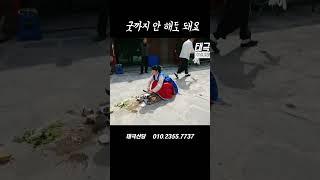 굿을 해야하는 경우와 아닌 경우가 있습니다. 굿하기 전에 양심적인 무당 만나세요! 경기점집 용한점집 파주점집