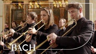 Bach - Sinfonia from Cantata BWV 29 | Netherlands Bach Society