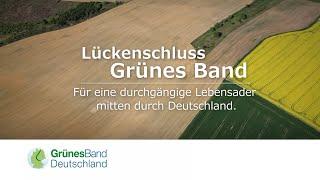 Das Grüne Band: Vielfalt erhalten, Natur schützen