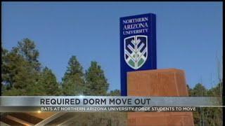 Bats at Northern Arizona University force students to move out of residential hall.