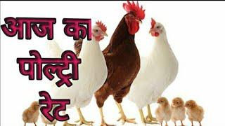 broiler rate/Today Poultry Rate /Punjab Rate