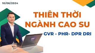 THIÊN THỜI NGÀNH CAO SU: GVR - PHR - DPR - DR