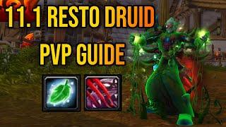 Resto Druid PvP Guide 11.1