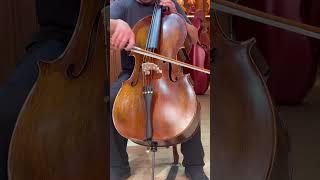 CHRISTINA CELLO BEGINNER MUSE 4/4 SIZE SOUND TONE TEST