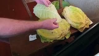 собольческий 33