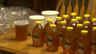 Harvesting 127 lbs of raw honey from two colonies