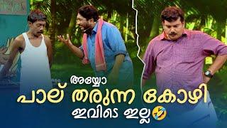 അയ്യോ പാല് തരുന്ന കോഴി  ഇവിടെ ഇല്ല | Comedy Masala | #fun #amritatvarchives