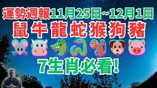 命理測算：鼠牛龍蛇猴狗豬，7個生肖一週運勢（11月25日至12月1日），內含吉凶日，一定要看！ #生肖運程 #生肖運勢 #屬相運勢 #屬相運程