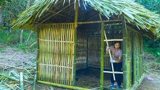 90 Days Solo Survival – Building & Thriving in a Bamboo House in the Wild