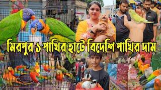 মিরপুর ১ পাখির হাটে বিদেশি পাখির দাম | mirpur 1 pakhir hat