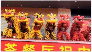 Chinese Lion Dance 中國醒獅 金獅紅獅 生意興隆 中山坦洲