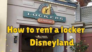 How to Rent a Locker at Disneyland: Updated