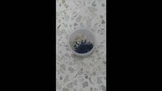 Vitamin C and Potassium permanganate reaction