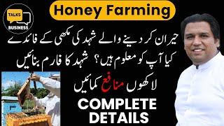 Start Your Own Honey Farming Business in Pakistan | The Ultimate Beekeeping Guide for Beginners!!