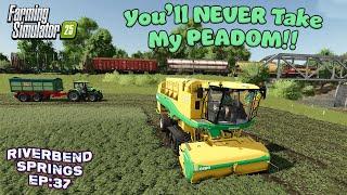 HARVESTING SHOULD BE QUICKER NOW?! ON Riverbend Springs #37 | Farming Simulator 25.