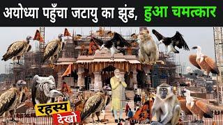 अयोध्या पहुँचा जटायु का झुंड, लोगो को याद आया रामायण | Jatayu In Ayodhya 2024 | Vulture In Ayodhya