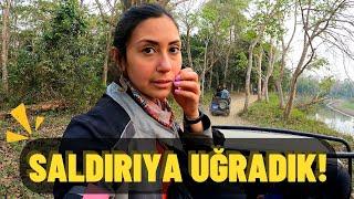 FOREIGNER ATTACKED IN SAFARI, INDIA! Kaziranga National Park / India Motovog #11