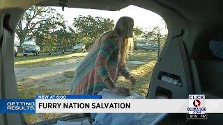 Furry Nation Salvation TNR volunteer wins Getting Results Award