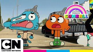 Where is Molly? | Gumball | @cartoonnetworkuk