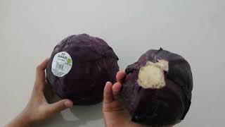 REVEALED! Worst Examples of UK SHRINKFLATION in Supermarkets! Morrisons & Sainsbury's Cabbage Sizes!