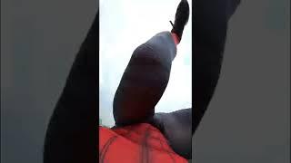Spiderman PARKOUR POV P.11 ( Epic Parkour POV Run ) / Tobypk