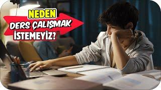 Neden Ders Çalışmak İstemeyiz? 6 SEBEP ‼️