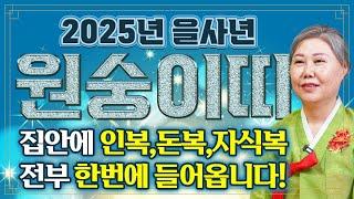 ⭐2025년 을사년 원숭이띠운세⭐올해 피눈물 날 정도로 힘들었던 일들을 보상받고 x월 큰 돈이 들어와 인생이 바뀝니다! 집안에 인복,돈복,자식복 한번에 들어와 대박나는 원숭이띠운세