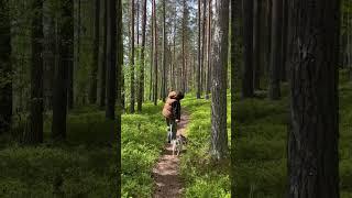 Экотропа «Гряда Вярямянселькя»