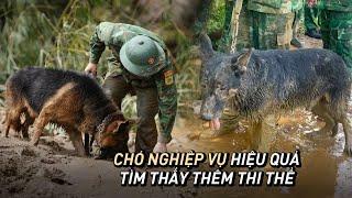 Hiện trường Làng Nủ: Chó nghiệp vụ phát huy hiệu quả, tìm thấy thêm thi thể