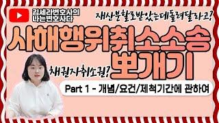 김세라변호사의 나는변호사다 제24화 "사해행위취소소송이 궁금해? 첫 번째 시리즈"