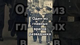 Один из главных врагов разведчика #история #хочуфакты #history #загадка #рекомендации #тайна #shorts