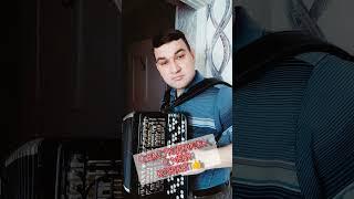 Когда душа требует позитива #баян #заринск #shorts