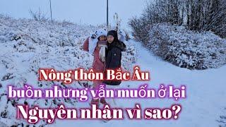 [323] Ở Nông Thôn Bắc Âu. Vừa Buồn Vừa Lạnh Nhưng Vì Sao Vẫn Không Chịu Đi Nơi Khác Lập Nghiệp.