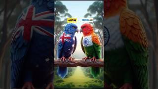 Beautiful story of a parrot #ai #parrot #shorts