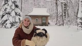 Kulig - Polish Sledding - Winter Fun