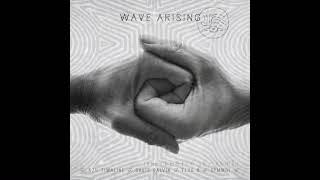 Wave Arising - Electric Shrine (Davis Galvin Remix) [Ransom Note Records]