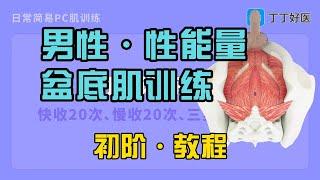 男性盆底肌训练训练·初阶教程，性能力更强大！ #Kegel exercises#PC肌训练#Pelvic floor muscle training