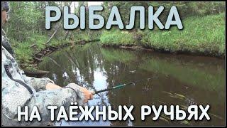 РЫБАЛКА ЛЕТОМ НА ТАЕЖНЫХ РУЧЬЯХ / ХАРИУС НА СПИННИНГ