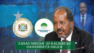 Xasan Sheekh oo kaligiis ku gaardinaya dalka.
