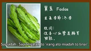 【野菜教室】Fadas 翼豆