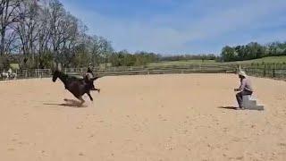 Horse Knows how to Ditch the Rider!  #horse #abiattachments