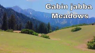 Gabinjabba || Meadows || Swat valley || Vguide Tours